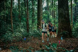 BIB: 
                            <button type="button" onclick="openModal(26131648)" class="btn btn-primary btn-sm float-right btn-popup" data-toggle="modal" data-target=".modal-high-quality">
                        <i class="fas fa-shopping-cart"></i> Add to Cart
                    </button>
                                            <button type="button" onclick="isThisMe(26131648, true)" class="btn btn-success btn-sm float-right btn-popup btn-isme hidden" data-toggle="tooltip" data-placement="bottom" title="นี่คือรูปของคุณใช่ไหม คลิกที่นี่เพื่อเอาเข้าอัลบั้ม">
                        <i class="fas fa-plus"></i> Add to album
                    </button>
                    <button type="button" onclick="isThisMe(26131648, false)" class="btn btn-warning btn-sm float-right btn-popup btn-isnotme hidden">
                        <i class="fas fa-ban"></i> Remove from album
                    </button>